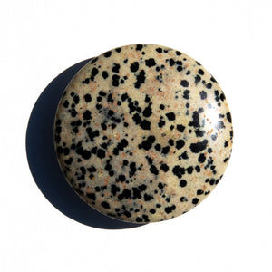 Dalmation Jasper Pop Socket Round