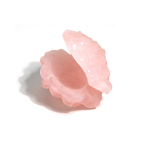 Clam Shell - Rose Quartz (Sale)