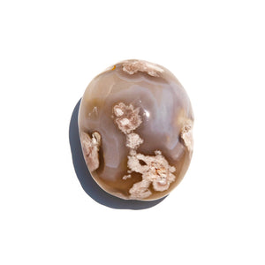 Sakura Agate Palm Stone - Rock Garden